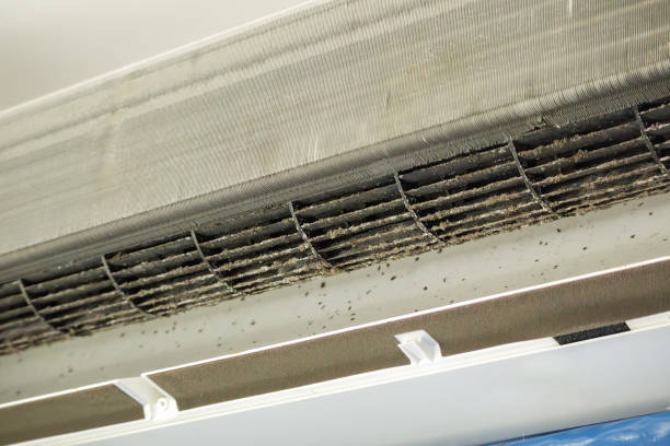 Best Ventilation System Cleaning in Bartow, FL